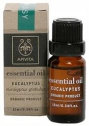 Eucalyptus Essential Oil Βιολογικό Αιθέριο Έλαιο Ευκάλυπτος 10ml Apivita