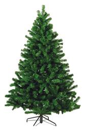 Δέντρο Co Colorado - Lianos