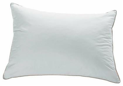 Hollow Hollowfiber Ανατομικό Kentia