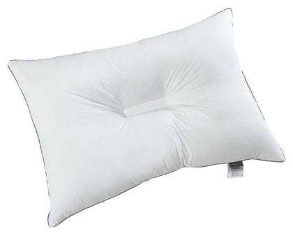 Orthopedic Polyester Ανατομικό 50x70cm La Luna