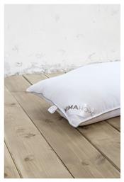 Presidential Ballfiber 50x70cm Nima