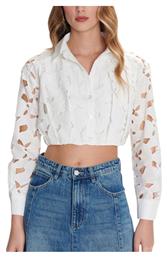 ALE - The Non Usual Casual - Ale