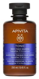 Men's Tonic Hippophae TC & Rosemary Σαμπουάν κατά της Τριχόπτωσης για Όλους τους Τύπους Μαλλιών 250ml Apivita