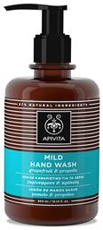 Mild Hand Wash Απαλό Καθαριστικό Χεριών με Γκρέιπφ Gel για τα Χέρια 300ml Apivita