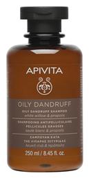 Oily Dandruff Σαμπουάν κατά της Πιτυρίδας για Λιπαρά Μαλλιά 250ml Apivita