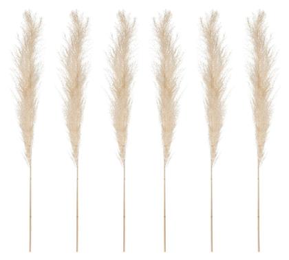 Τεχνητό Διακοσμητικό Κλαδί Pampas grass Λευκό 66cm 6τμχ Atmosphera
