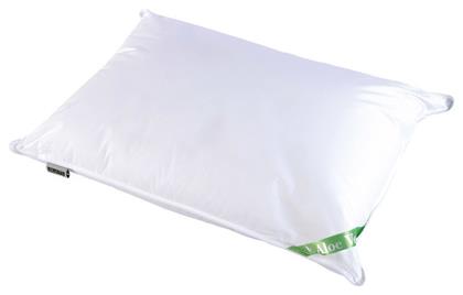 4002 Aloe Vera Σιλικόνης Μέτριο 4002-5210 50x70cm Beauty Home