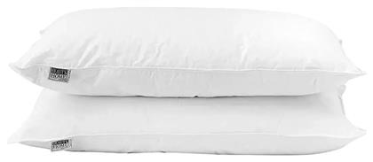 Art 4030 50x70cm Beauty Home