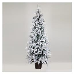 Χριστουγεννιάτικο Δέντρο Ελβετία 210εκ. Χιονισμένο με Ξύλινο Κορμό - Eurolamp