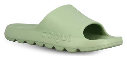 Slides MInt Coqui