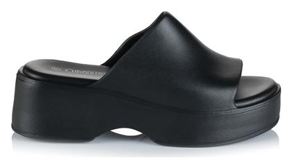Slides Cubanitas