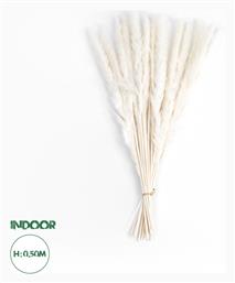 Αποξηραμένο Φυτό Pampas grass Μπεζ 50cm GloboStar