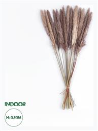 Αποξηραμένο Φυτό Pampas grass Καφέ 50cm GloboStar