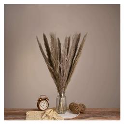 Αποξηραμένο Φυτό Pampas grass Καφέ/Γκρι 80cm με LED GloboStar