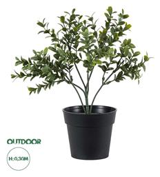 Τεχνητό Φυτό Artificial Garden BUXUS 30cm GloboStar