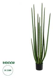 Τεχνητό Φυτό σε Γλάστρα Sansevieria 160cm GloboStar