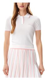 Polo Guess