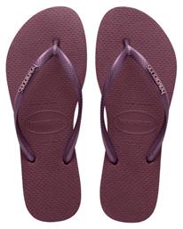 Slim Logo Σαγιονάρες σε Μωβ Χρώμα Havaianas από το SerafinoShoes