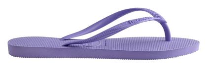 Slim Σαγιονάρες σε Μωβ Χρώμα Havaianas