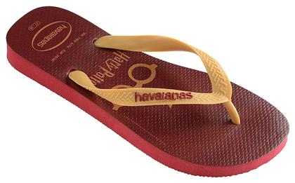 Top Harry Potter Havaianas