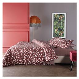 Σετ Σεντόνια Υπέρδιπλα 240x270 Louta 05 Kentia