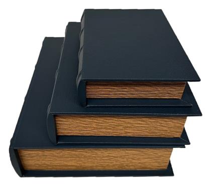 Κουτι Σετ3 Βιβλιο 27x22x7 22x17x5.5 17.5x12.5x4εκ Dwna1004 Espiel
