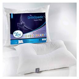 Orthopedic Polyester Ανατομικό Μέτριο 1004003 50x70cm La Luna