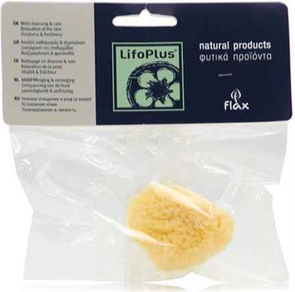 LifoPlus Σφουγγάρι Καθαρισμού Προσώπου Φυσικό Θαλάσσης από το Pharm24