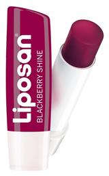 Blackberry Shine Lip Balm Blackberry Shine 4.8gr 4.8ml Liposan