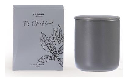 Nef-Nef Αρωματικό Κερί σε Βάζο Fig & Sandalwood 200gr - Nef Nef