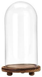 Διακοσμητικό Χώρου από Γυαλί 15x15x28cm Next