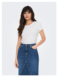 T-Shirt Only