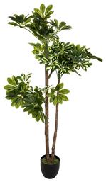 Τεχνητό Φυτό σε Γλάστρα Green6 135cm Pakketo