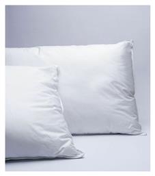 Sognio Βαμβάκι 2τμχ Μέτριο 9-050617-001 50x70cm 2τμχ Palamaiki