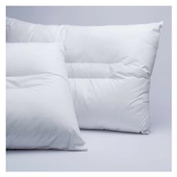 White Comfort Aloe Vera Βαμβάκι Ανατομικό Μέτριο 50x70cm Palamaiki
