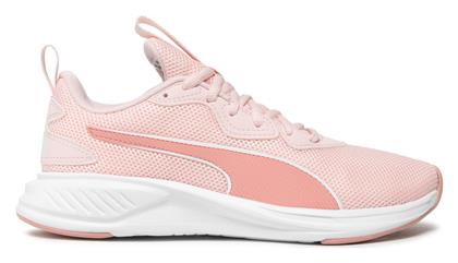 Incinerate Puma