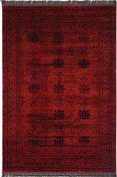 Χαλί 8127G Afgan 200x290cm Royal Carpet
