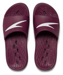 Slides σε Μωβ Χρώμα Speedo από το Outletcenter