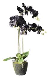 Τεχνητό Φυτό σε Γλάστρα Ορχιδέα Phalaenopsis Real Touch 85cm Supergreens