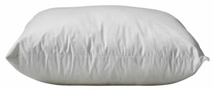 Anatomic Σιλικόνης Ανατομικό Σκληρό 000001374 50x70cm Vesta Home